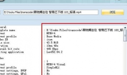 视频编码格式,探索最新视频编码格式的创新与变革